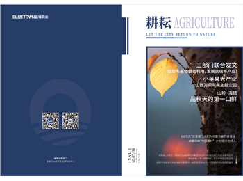 南宫NG·28(集团)相信品牌实力有限公司